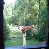 phoca_thumb_m_026