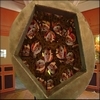 phoca_thumb_m_029